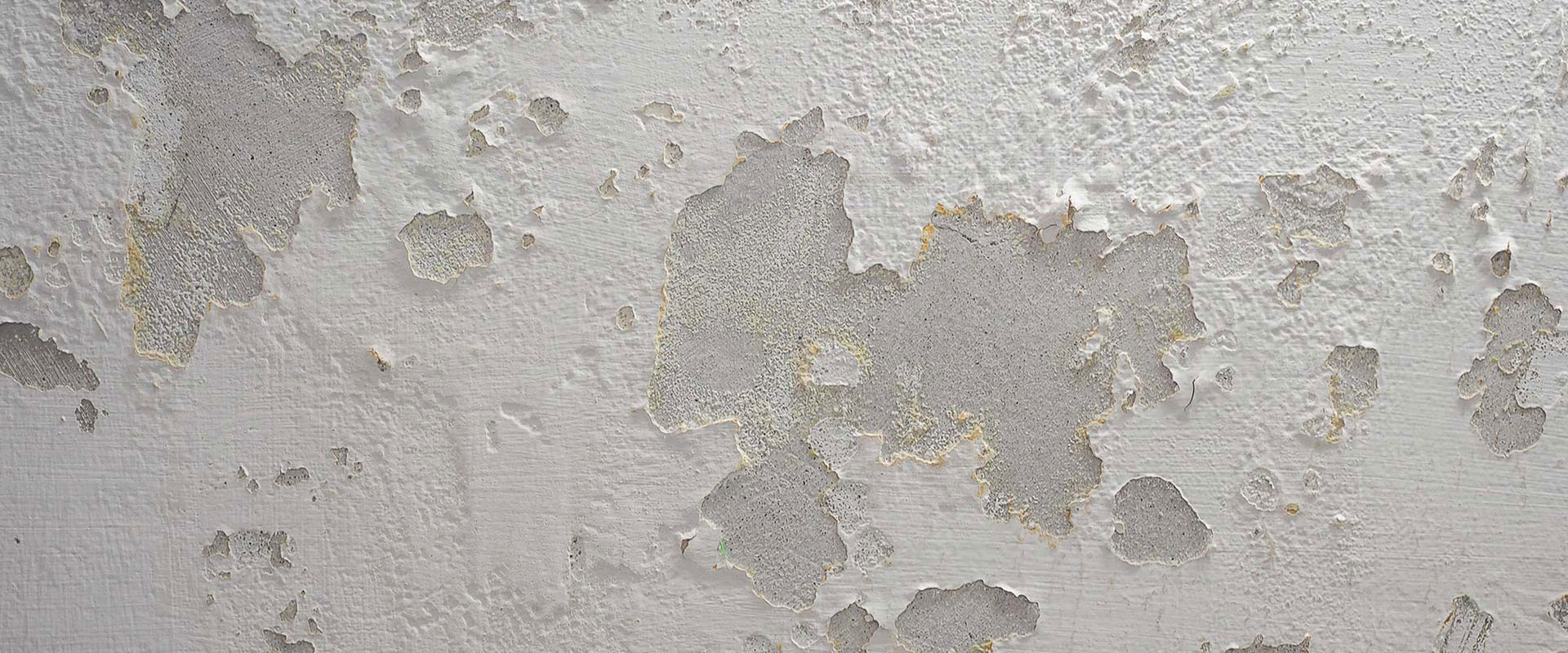 Tenants’ rights mould and damp